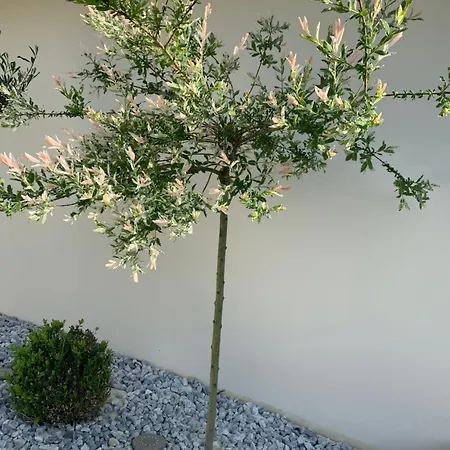 L'autre Nuit Bed & Breakfast 4*